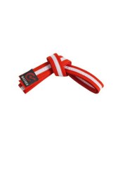 Orange Belt with White Stripe3